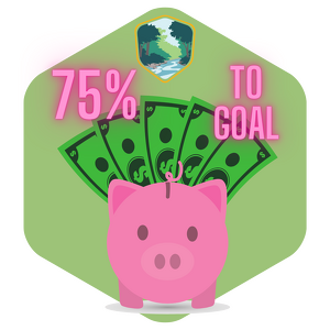 Top Fundraiser